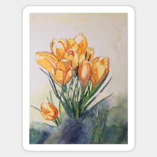 Yellow crocuses watercolour painting Sticker